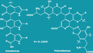 melanines